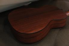 Eastman PCH1-OM_2