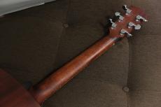 Eastman PCH1-OM_4