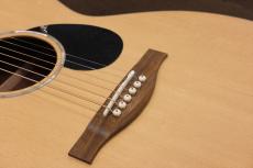 Eastman PCH1-OM_7