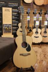 Eastman PCH1-OM_8
