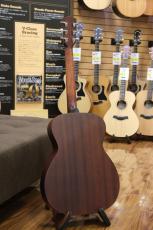 Eastman PCH1-OM_9
