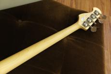FUJIGEN BCJB100RBD / SWH 【4.27kg】_4