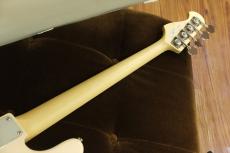 FUJIGEN BCJB100RBD / SHP 【4.52kg】_4