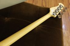 FUJIGEN BCJB100RBD / 3TS 【4.13kg】_4