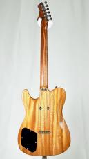 infinite Trad TLP -Gold Top- 【3.16kg】_4