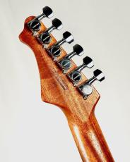 infinite Trad TLP -Gold Top- 【3.16kg】_10
