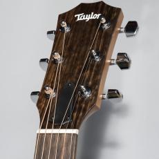 Taylor 114ce_4