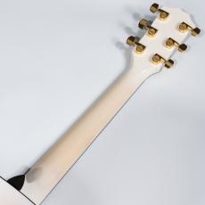 Taylor 614ce 50th_8