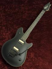 EVH Wolfgang Special EB Stealth Black