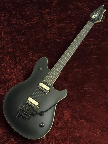 EVH Wolfgang Special EB Stealth Black