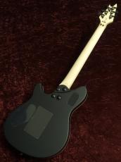 EVH Wolfgang Special EB Stealth Black_2