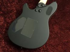 EVH Wolfgang Special EB Stealth Black_4