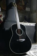 YAMAHA LL16D ARE Black (BL)
