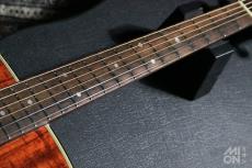 Takamine PT-207_4
