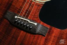 Takamine PT-207_5