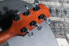 Takamine PT-207_8