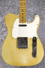 Fender 1975 Telecaster / Blonde [3.80kg]_2