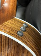 Taylor 417e-R Nat_5