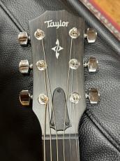 Taylor 417e-R Nat_6