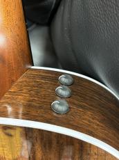 Taylor 417e-R SB_5