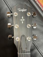 Taylor 417e-R SB_6