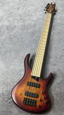 MTD Kingston ZX5 - Satin Amber -【4.34kg】_2