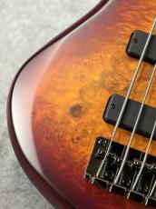 MTD Kingston ZX5 - Satin Amber -【4.34kg】_4