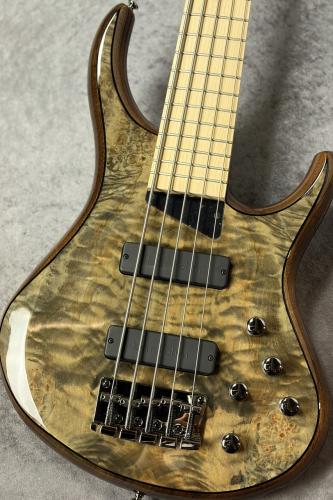 MTD Kingston ZX5 - Gloss Trans Mocha -【4.47kg】
