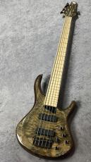 MTD Kingston ZX5 - Gloss Trans Mocha -【4.47kg】_2