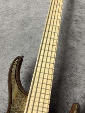 MTD Kingston ZX5 - Gloss Trans Mocha -【4.47kg】_6