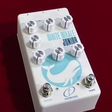 Crazy Tube Circuits White Whale JR_5