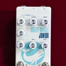 Crazy Tube Circuits White Whale JR_6