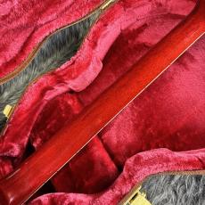 Gibson Les Paul Special Double Cutaway Vintage Cherry_10
