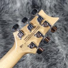 Paul Reed Smith [PRS] SE Custom 24 Faded Blue Burst 2021_8