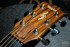 Taylor 414ce RW V-class / 2021_4