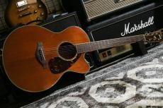 YAMAHA FJX730SC 2009_2