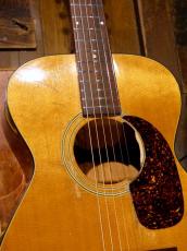 Guild '74 F20_7