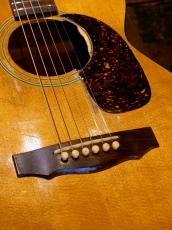 Guild '74 F20_8