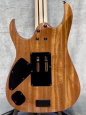 Ibanez Prestige RG5120M -PRT Polar Lights- 【Made In Japan】【Stainless Steel Frets】_3