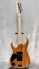 Ibanez Prestige RG5120M -PRT Polar Lights- 【Made In Japan】【Stainless Steel Frets】_4