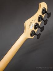 FUJIGEN JMP2B-ASH-M -Seethru Blue Burst Matte-【4.33kg】_9