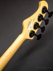 FUJIGEN JMP2B-ASH-M -Open Pore Black-【3.87kg】_10