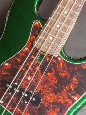 FUJIGEN NJB100RAL -Candy Apple Green-【4.53g】_4