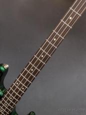 FUJIGEN NJB100RAL -Candy Apple Green-【4.53g】_5