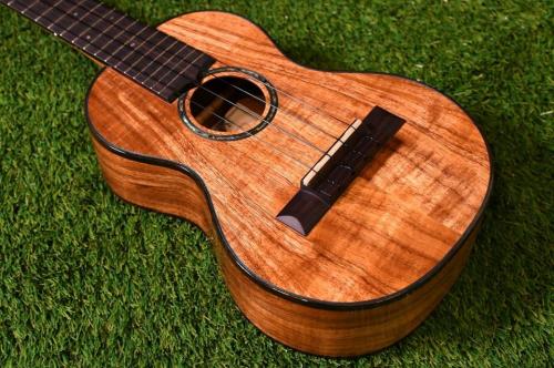 HAMAGEN C-015 Concert