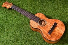 HAMAGEN C-015 Concert_2