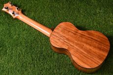 HAMAGEN C-015 Concert_3