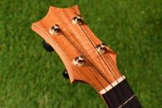 HAMAGEN C-015 Concert_5