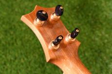 HAMAGEN C-015 Concert_6