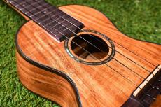 HAMAGEN C-015 Concert_11
